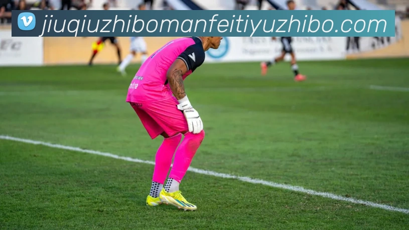 九球体育直播APP 封面图